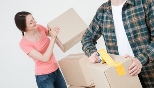 Seasonal boxes and home storage items arranged neatly