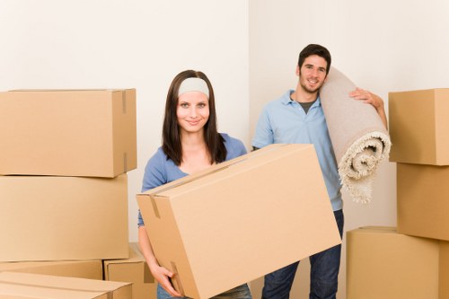 Modern storage concept showing organization and convenience in Leytonstone